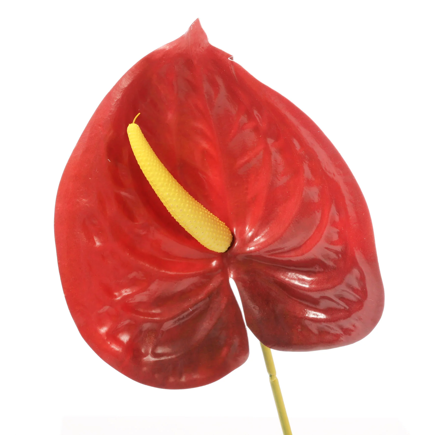 Artificial Anthurium Stem - Burgundy - Image 4