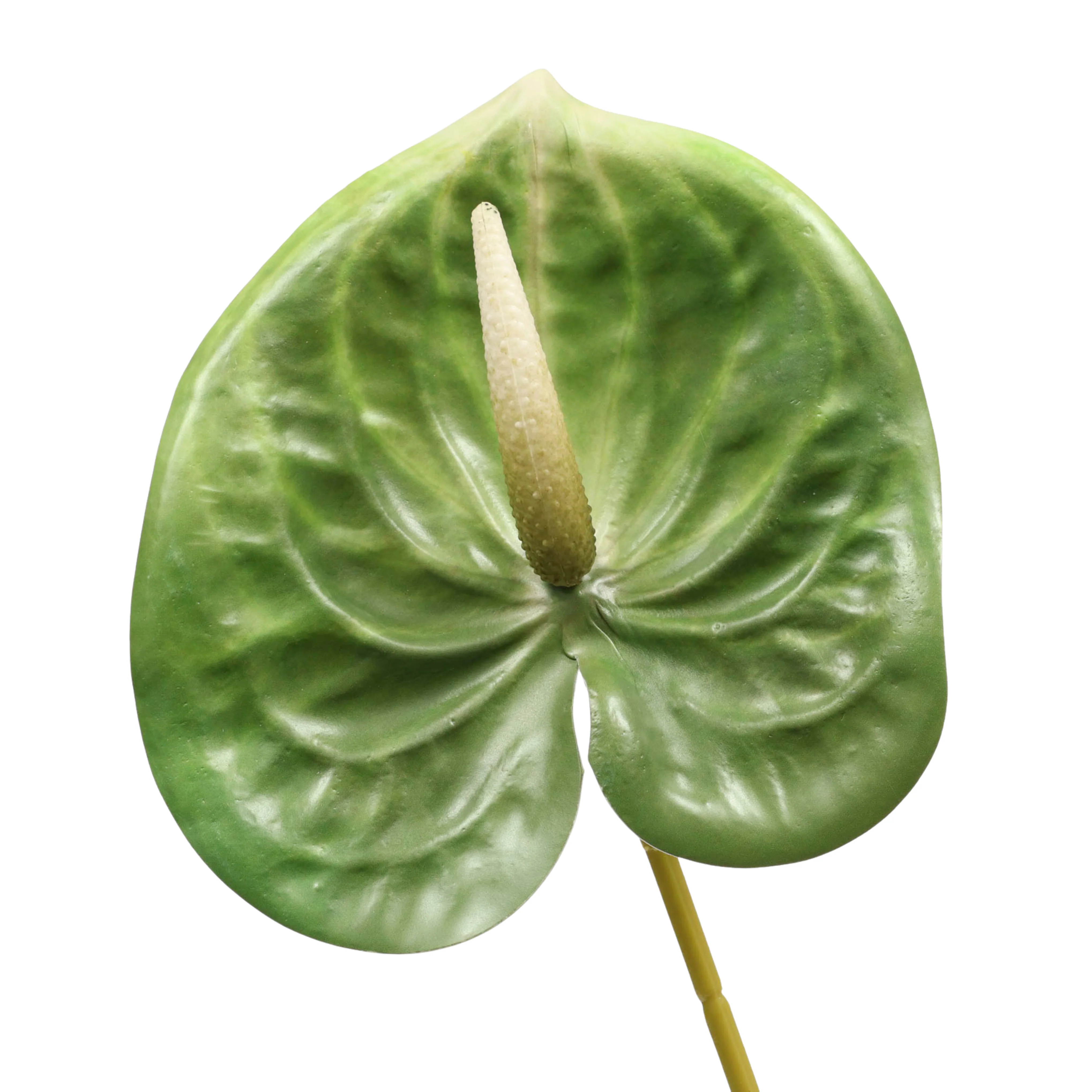 Artificial Anthurium Stem - Green - Image 3