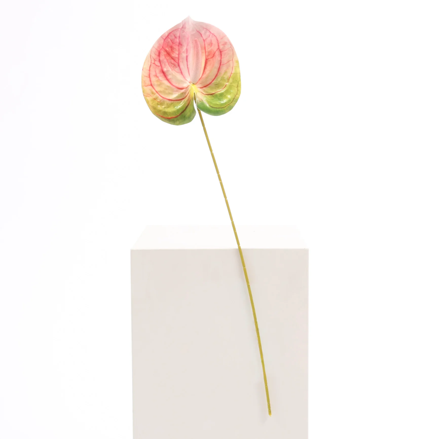 Artificial Anthurium Stem - Green/Pink - Image 3