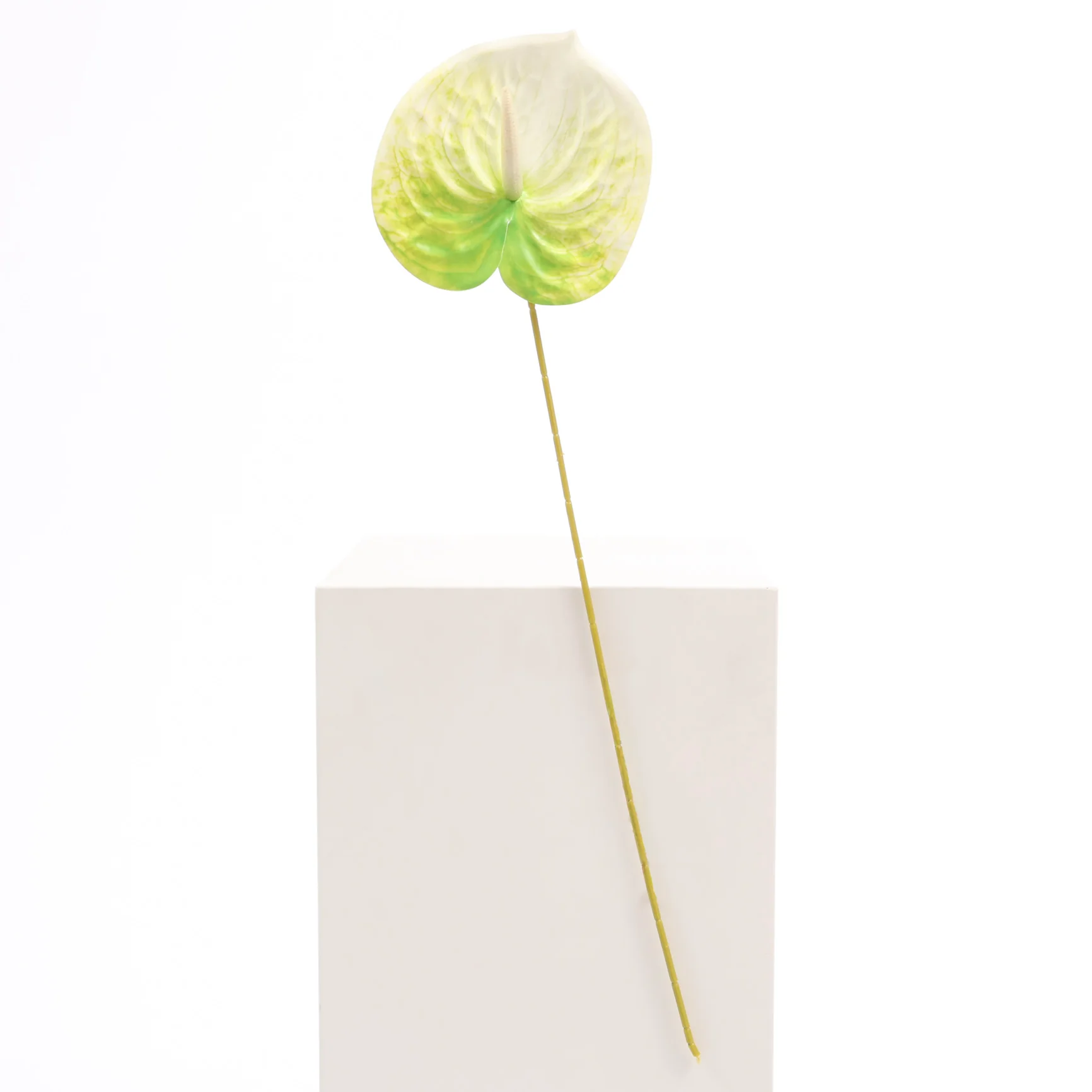 Artificial Anthurium Stem - Green/White - Image 3