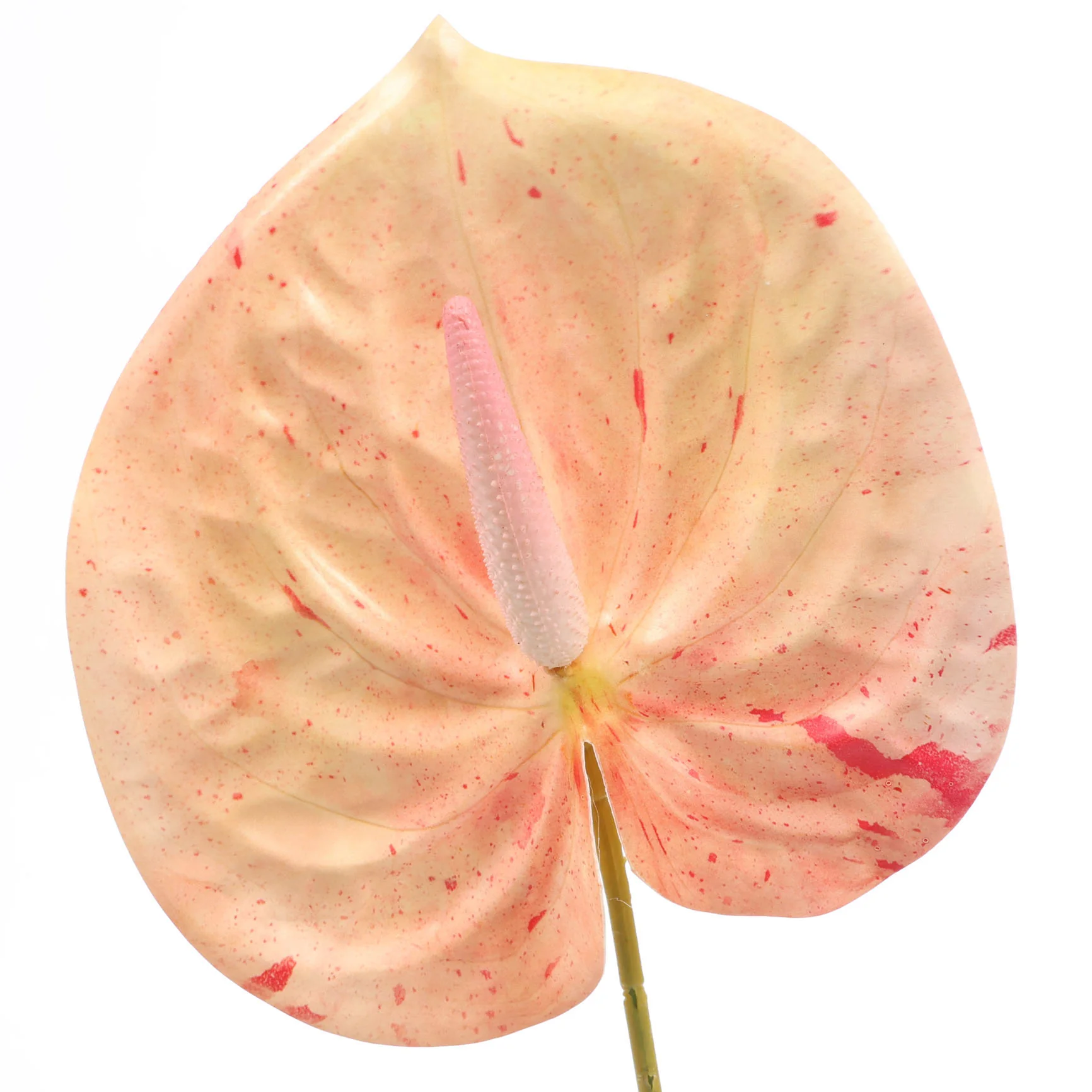 Artificial Anthurium Stem - Peach - Image 4