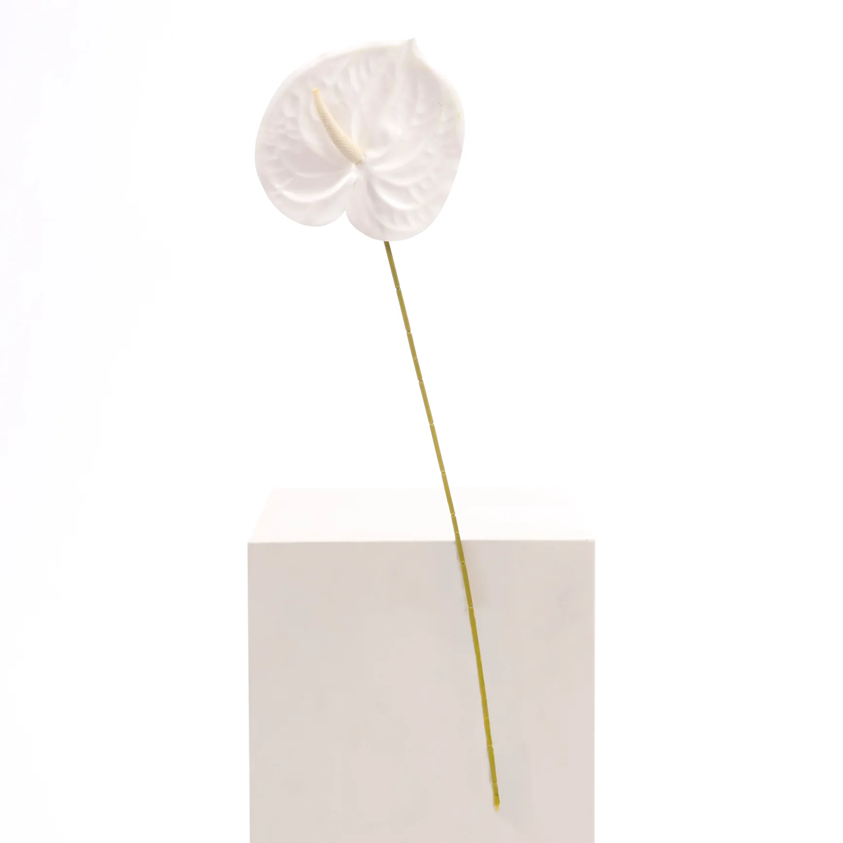 Artificial Anthurium Stem - White - Image 3