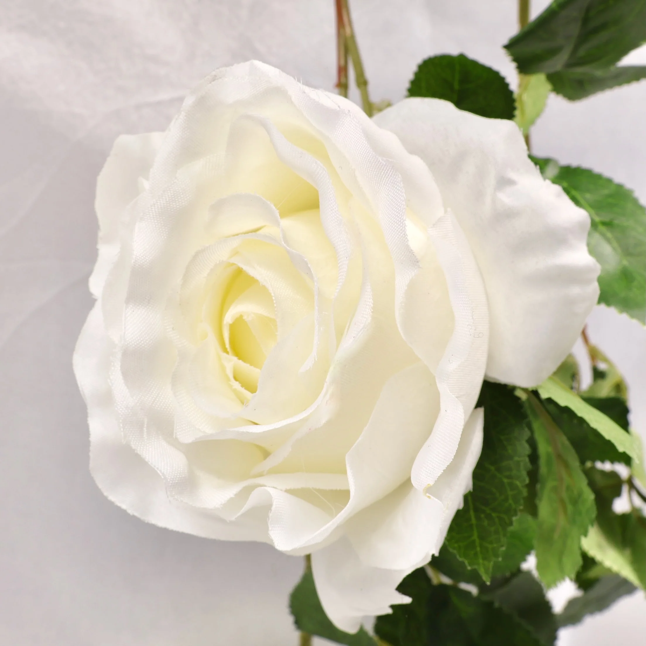 Rose Artificial Flower Vine - 9cm Head - White (1.6m) - Image 3