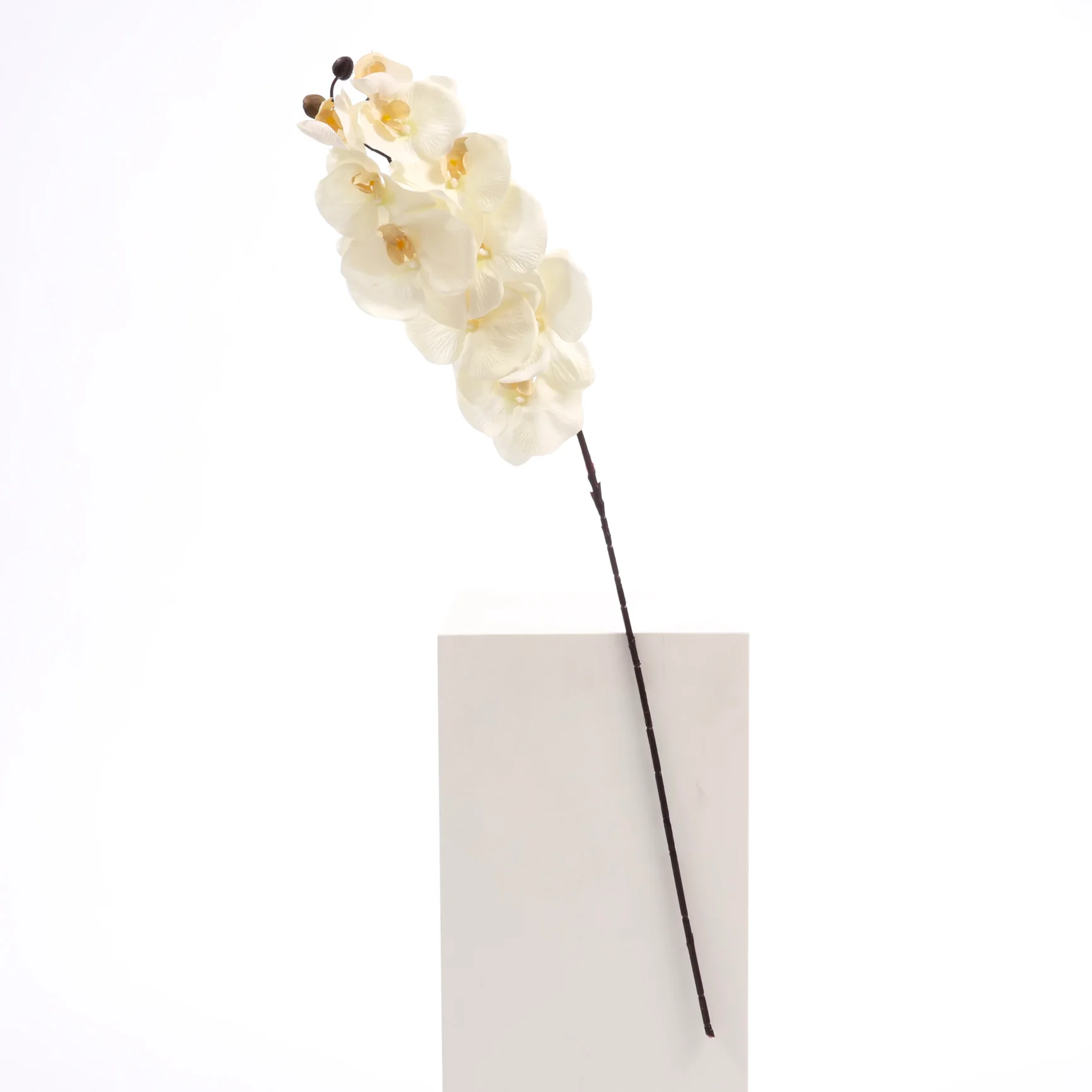 Artificial Orchid Stem - White / Ivory - Image 3