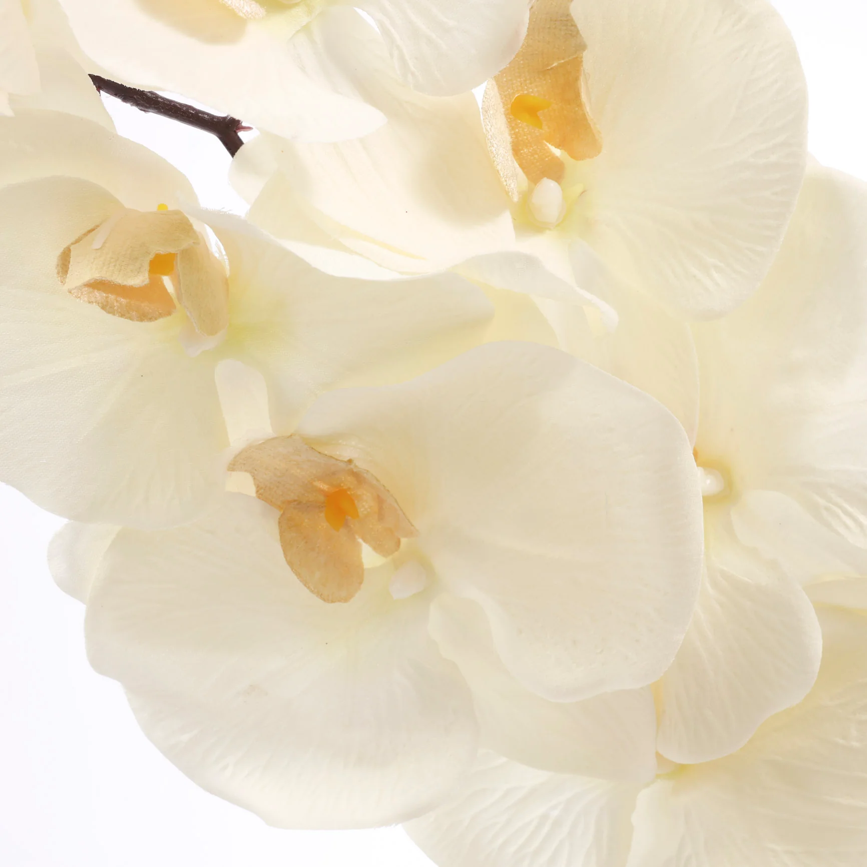 Artificial Orchid Stem - White / Ivory - Image 5
