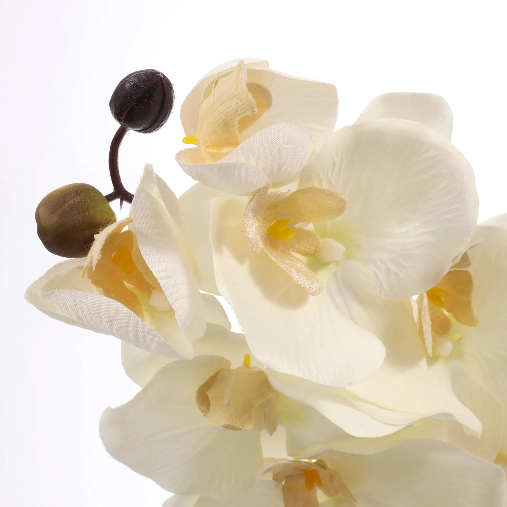 Artificial Orchid Stem - White / Ivory - Image 6