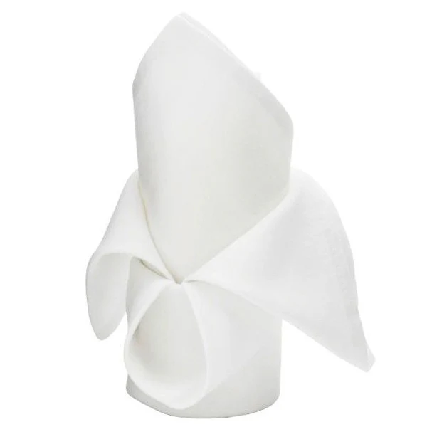 Cloth Napkins - White (50x50cm) - Image 4